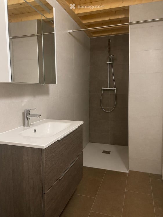 Appartement lumineux avec mezzanine et charme unique 4