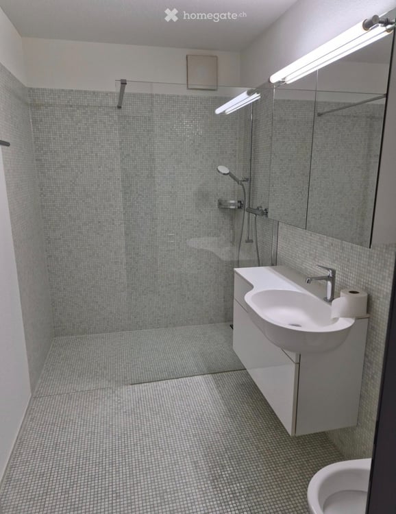 Frisch renovierte 3.5-Zimmerwohnung in Adligenswil LU 3