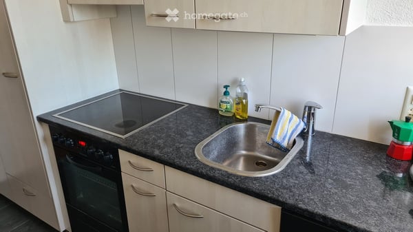 4 Zimmer-Wohnung in Wetzikon mieten 3