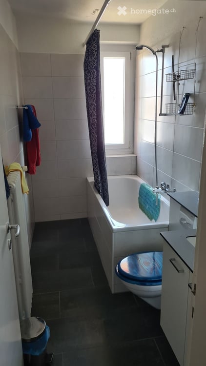 4 Zimmer-Wohnung in Wetzikon mieten 2