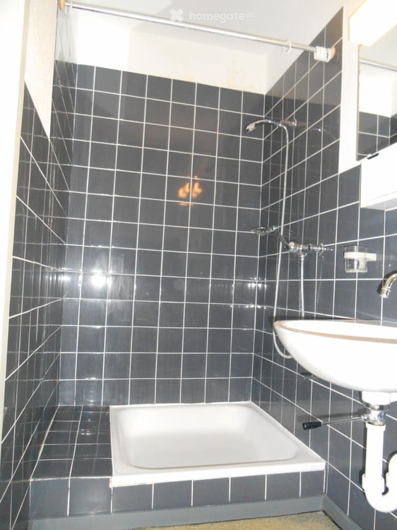 Befristetes Mieten: 11/2-Zimmer-Wohnung / UNI Bern und Insel 5