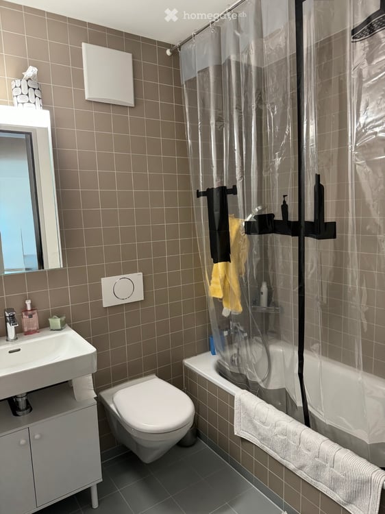 Schöne 3.5 Zimmerwohnung im Zwicky Areal 4