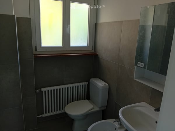 4.5 a Tremona immerso nel verde 3