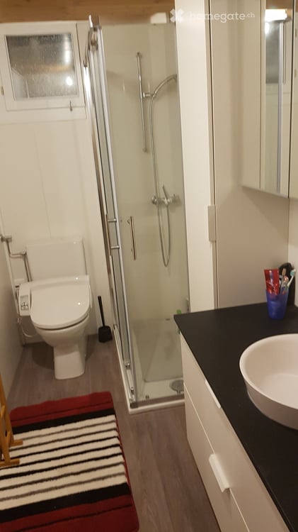 3.5 Zimmer mit Garage und Balkon 2