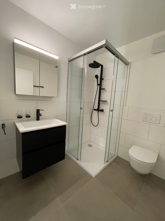 Erstbezug 4.5-Zimmer-Wohnung im Eigentumsstandard 4