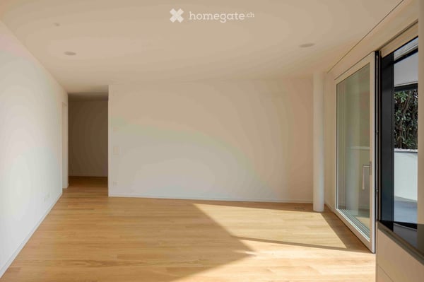SUBINGRESSO: Splendido e moderno 2.5 / 3 locali con vista 2