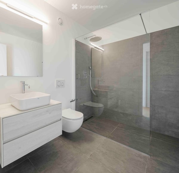 SUBINGRESSO: Splendido e moderno 2.5 / 3 locali con vista 4