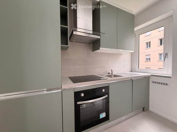 MASSAGNO 3.5 LOCALI CON SPLENDIDO GIARDINO PRIVATO 2