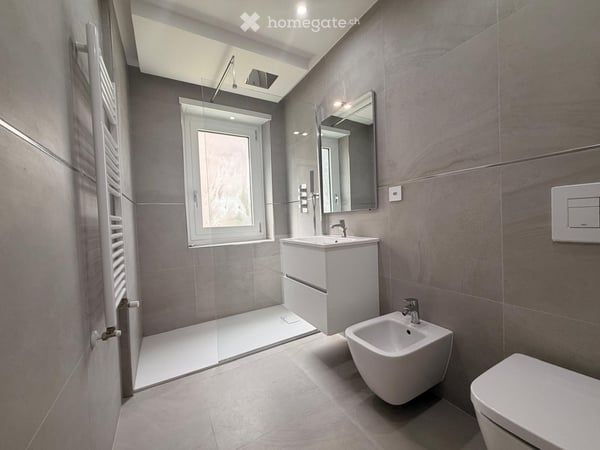 MASSAGNO 3.5 LOCALI CON SPLENDIDO GIARDINO PRIVATO 3