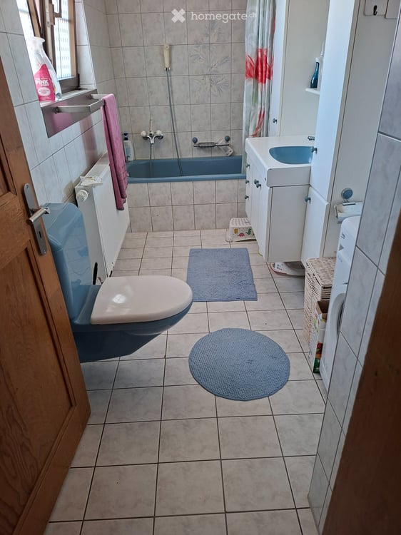 4 Zimmerwohnung mit Garten zu vermieten 2