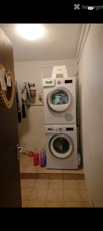 Affittasi casa a Lamone 4