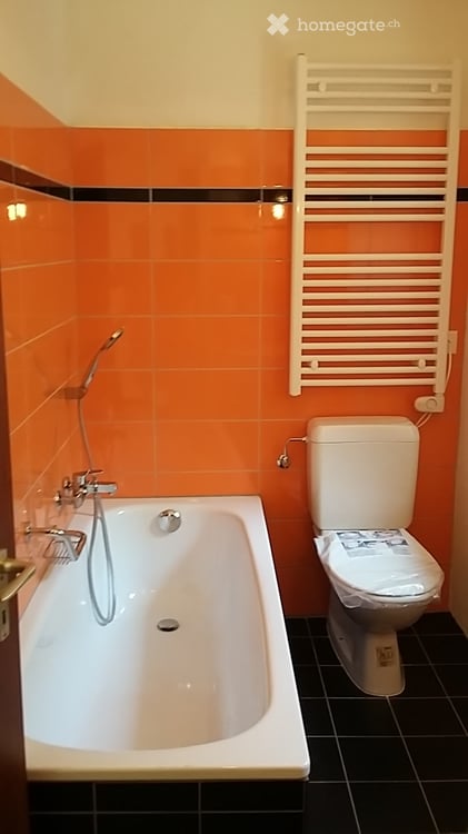 Affittasi casa a Lamone 5