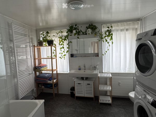 Temporary Furnished Apartment Brunnen Lakefront 4