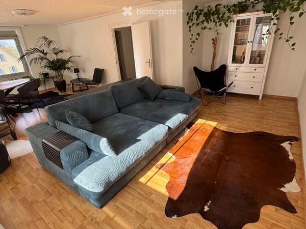 Temporary Furnished Apartment Brunnen Lakefront 2