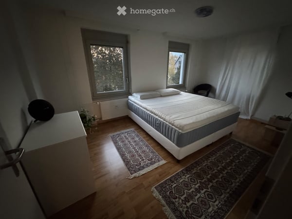Temporary Furnished Apartment Brunnen Lakefront 3