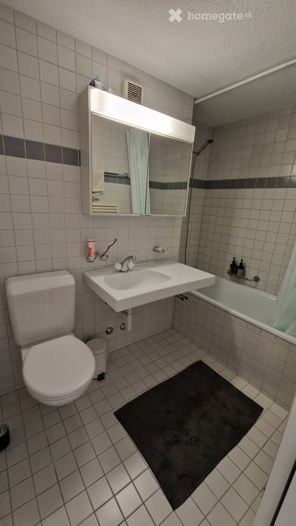 Helle Wohnung an ruhiger Lage in Zürich Höngg 3