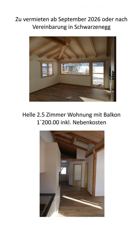 Helle 2.5 Zimmer Wohnung mit Balkon 5