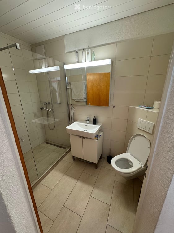 Helle 3.5 Zimmer Altbauwohnung in Gelterkinden (per Oktober) 3