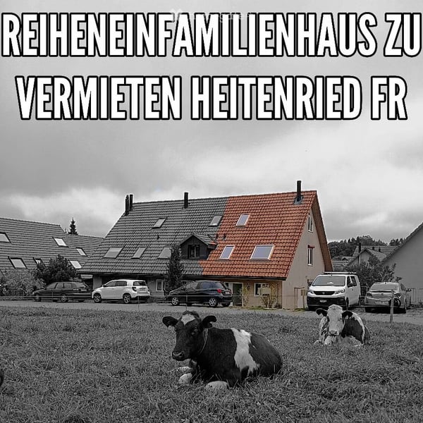Reiheneinfamilienhaus mit Garten zu vermieten 1