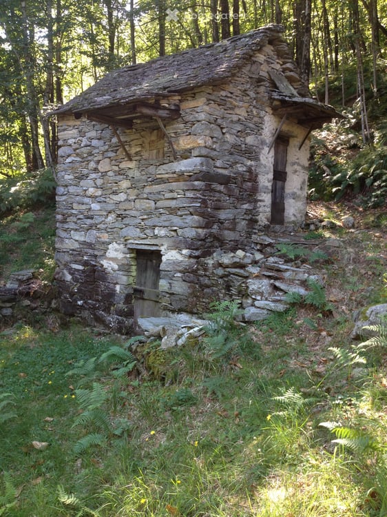 Stalla + cascina e canvetto separato 5