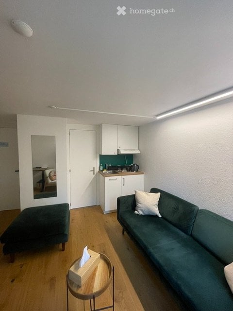 Gemütliches Studio im Breitenrain 2