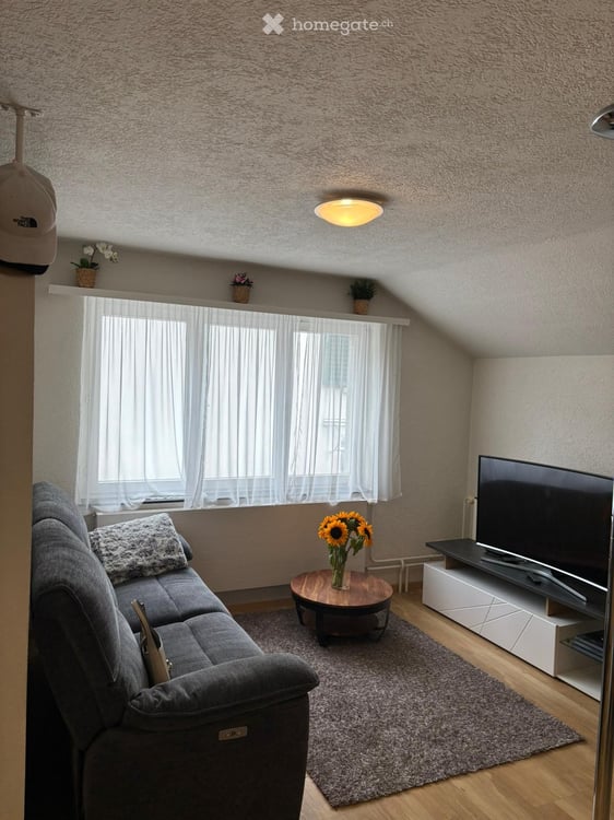 2.5 Zimmer Wohnung 5