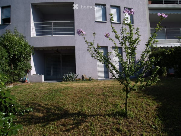 Minusio, vendo bilocale con giardino 2