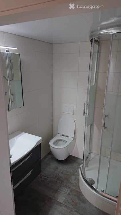 Ruhige 1.5 Zimmer-Gartenwohnung in EFH 4