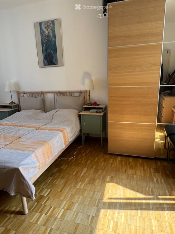 Subentrante per splendido appartamento in Bellinzona centro 3