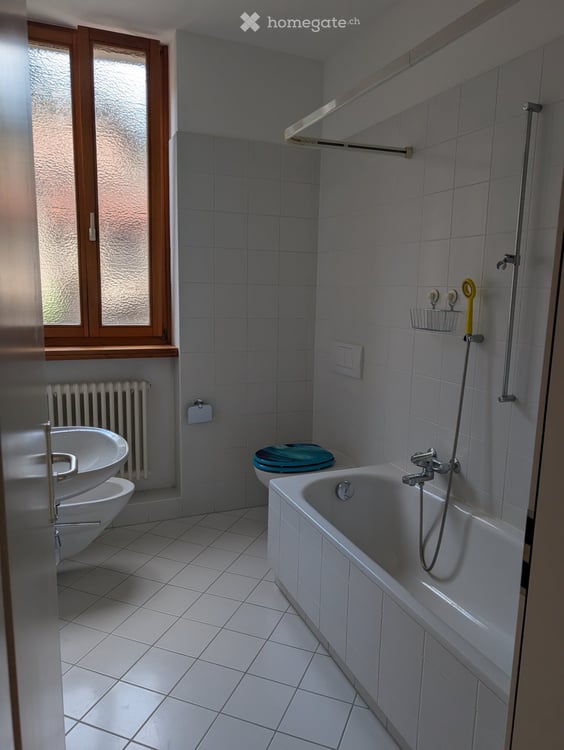 Appartamento luminoso 2.5 locali a Lamone 5