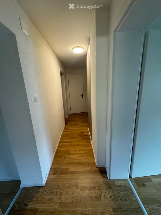 Nachmieter per sofort gesucht 5
