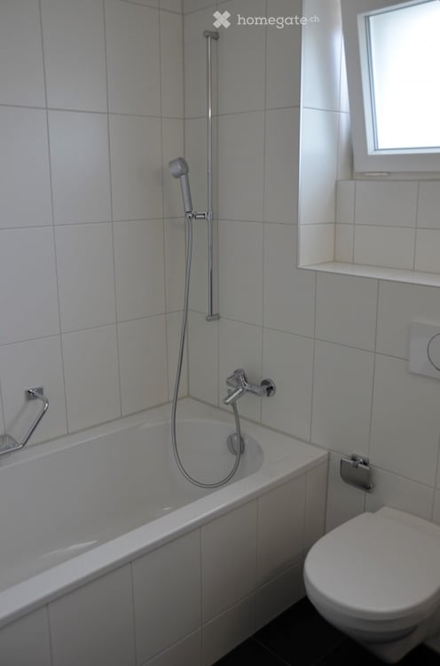 Helle grosse 2.5-Zimmer-Attika-Wohnung im Eigentumsstandard 5