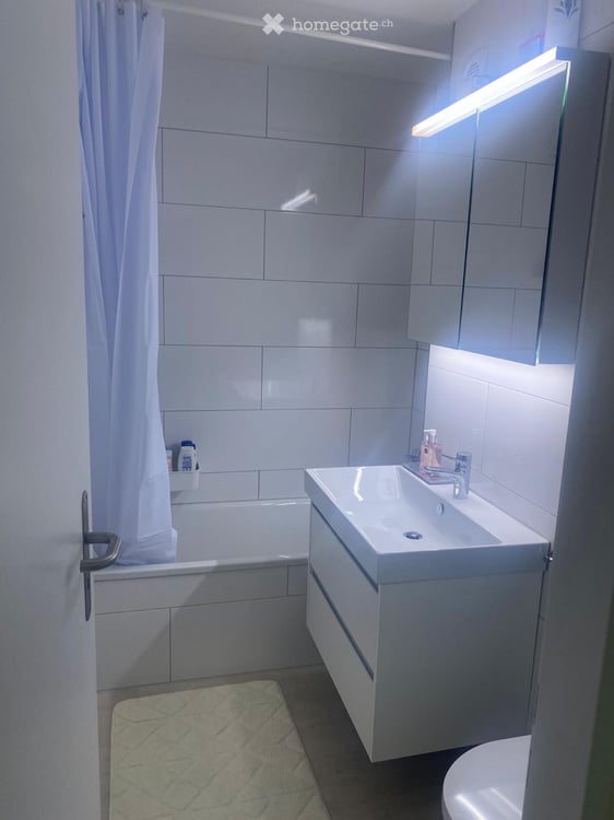 Freundliche 2.5 Zimmer Wohnung in ZH Seebach zu vermiete 2
