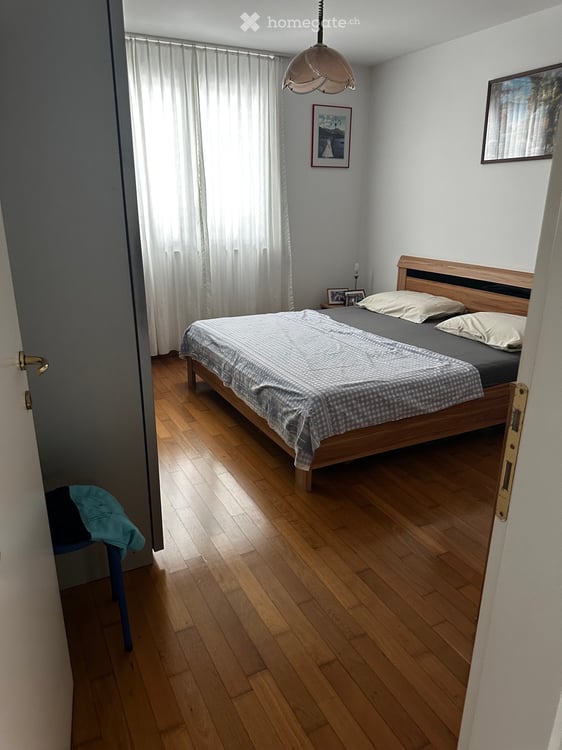 Appartamento 4.5 con giardino 5