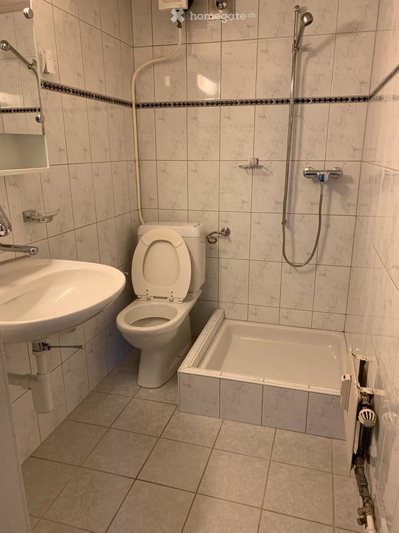 3 1/2 Zimmer Altstadtwohnung 5