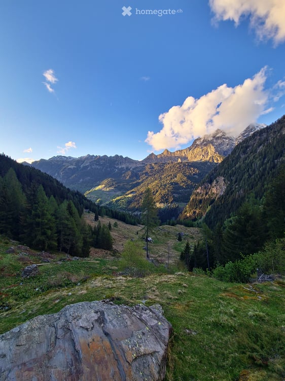 Immagine anteprima degli immobili