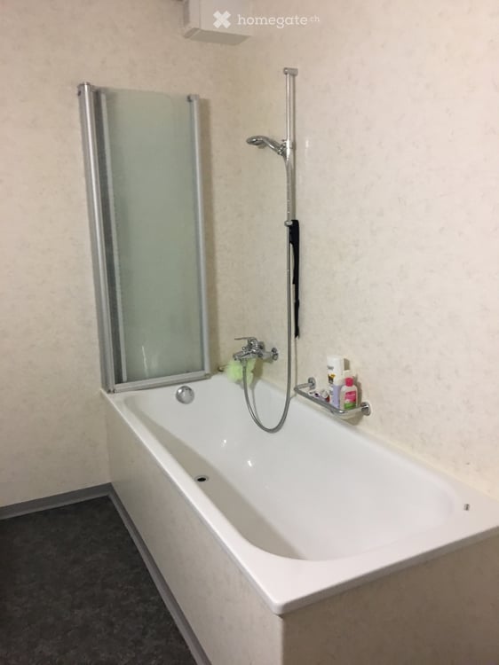 Zu vermieten grosse 2 einhalb Zimmer Wohnung ab 1. September 2