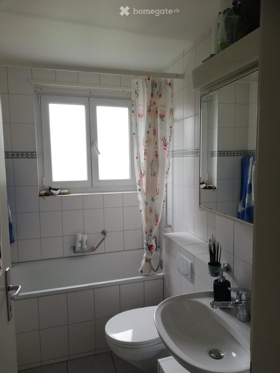 Schöne, ruhige 2.5 Zimmer-Dachwohnung mit Ausblick 8