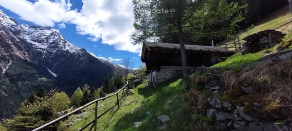 Denkmalgeschützte Rustico auf Alp Cavaionc / Calancatal 4