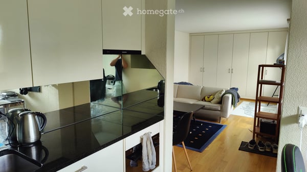Studio Apartment in Adliswil 2