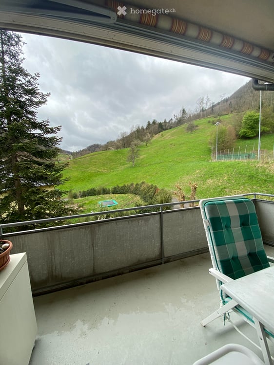 4.5 Zimmer Wohnung in Waldenburg 1