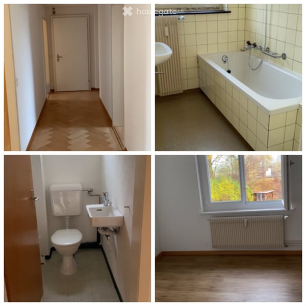 Nachmieter gesucht 4