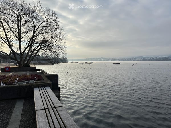 Wo Zürich am schönsten ist  möblierte Wohnung beim Bellevue 9