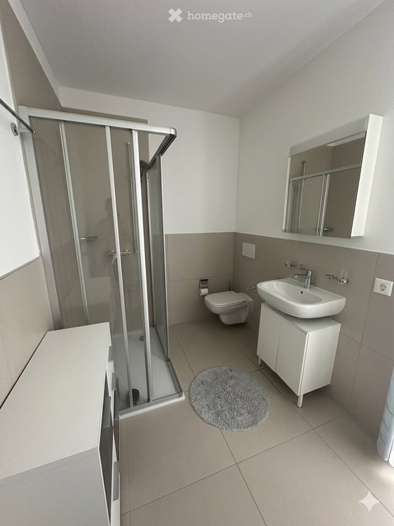 Moderno 3.5 con lavanderia privata 1500 fr TUTTO INCLUSO 4