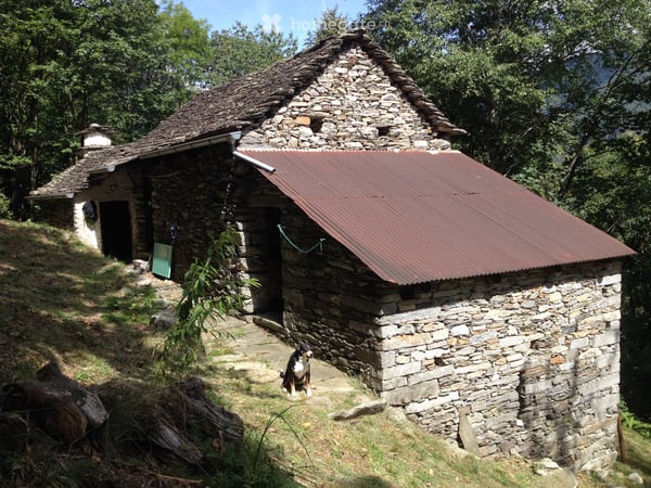 Stalla, cascina e canvetto separato da trasform in rustico. 1