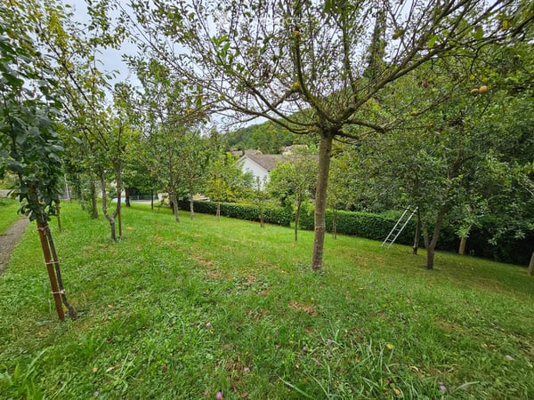 6 Zimmer Doppeleinfamilienhaus mit grossem Grundstück 4