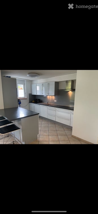 Magnifique Appartement 4,5 Pièces 4