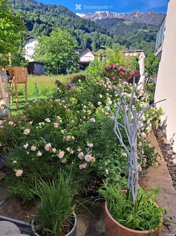 Sonnige Gartenwohnung mit Ausblick auf die Berge. 3
