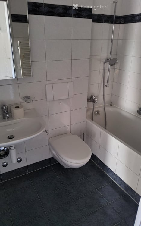 2 Zimmer Wohnung in Zürich Höngg 2