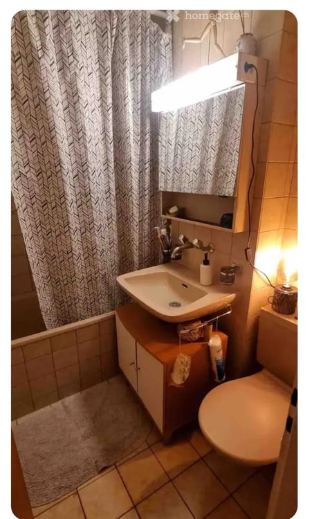 Spacious 3.5-Room Apartment in Zurich Long-Term Rental Only 3